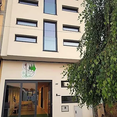 Hostel Tres Abetos Arzúa